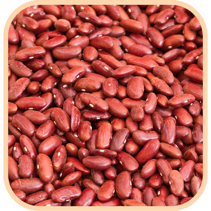 Red Kidney Beans - Light